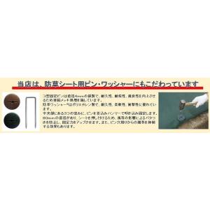ザバーン デュポン社 防草シート 240G グ...の詳細画像5