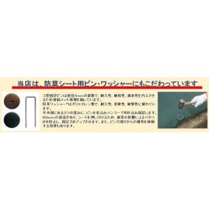 ザバーン デュポン社 防草シート 240G 1...の詳細画像4