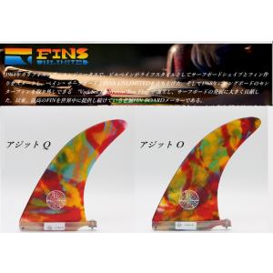 FU　（ Fins unlimited / フィンズ　アンリミテッド ）Joel Tudr  Pap...