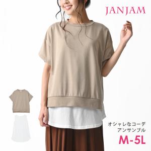 大きいサイズ レディース アンサンブル プルオーバー