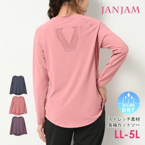 Tシャツ 大きいサイズ レディース メール便送料350円 長袖 ラグラン V字型メッシュ トップス スポーツウェア LL 3L 4L 5L｜janjam