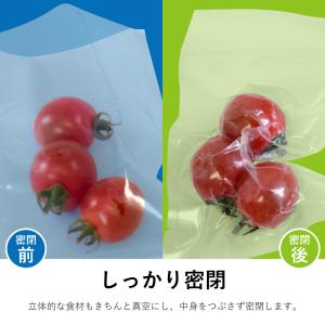 真空パック機 本体+専用袋(小)50枚セット ...の詳細画像4