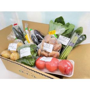 まんさいかん旬の野菜仕送りボックスミニ（クール便代込）｜jaooigawa
