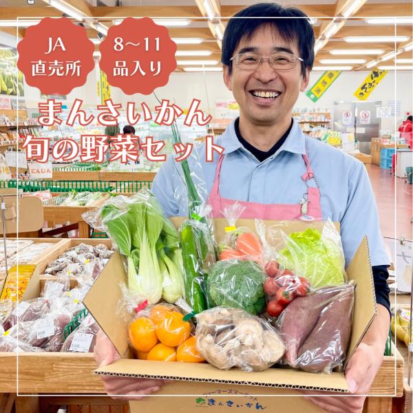 <JAおおいがわ>まんさいかん 旬の野菜セット(送料・クール便代込) 新鮮 農家 産地直送 静岡産 ...
