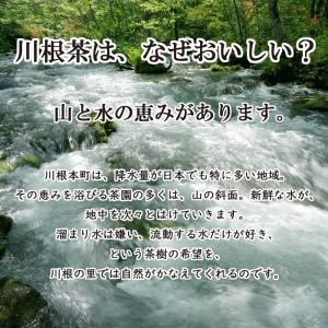 【出荷予定時期:7月初頭】SALE【川根茶】【...の詳細画像3