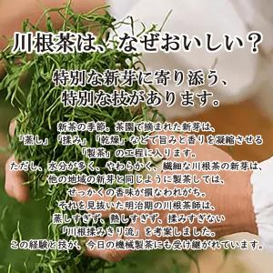 【出荷予定時期:7月初頭】SALE【川根茶】【...の詳細画像4