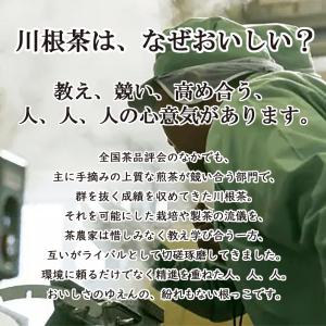 【出荷予定時期:7月初頭】SALE【川根茶】【...の詳細画像5