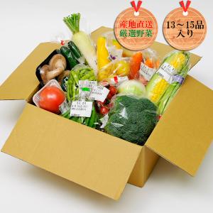 まんさいかん 冬野菜＋みかん入りBOX（クール便代込）｜jaooigawa