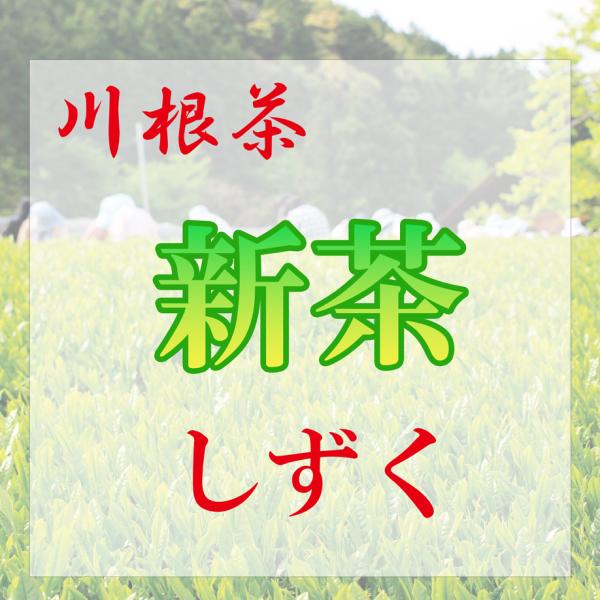 新茶【川根茶】しずく　【発送予定日：5月中旬〜】