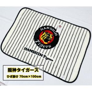 在庫処分】阪神タイガース 2023 セ・リーグ優勝記念 アクリルハーフ