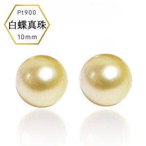 南洋白蝶真珠 K18 18金 シャンパンゴールド ゴールデンパール