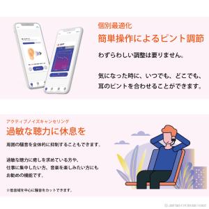 集音器 日本製 ワイヤレス 充電式 adle ...の詳細画像3