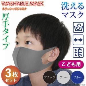 マスク 洗える 秋冬 3枚入 ウォームフィットマスク 大人用 WARMFIT