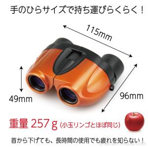 双眼鏡 21倍 軽量 Kenko ケンコー セ...の詳細画像2
