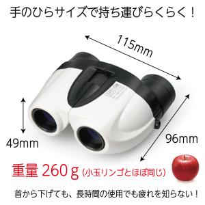 双眼鏡 10-30倍 軽量 Kenko (ケン...の詳細画像2