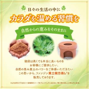 《ポイント10倍 》ファンジン 黄土よもぎ韓方...の詳細画像2