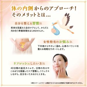 《ポイント10倍 》ファンジン 黄土よもぎ韓方...の詳細画像4