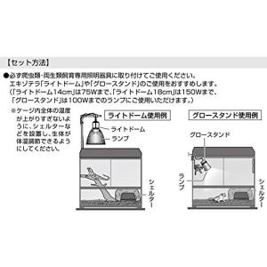 GEX EXOTERRA ナイトグロー ムーン...の詳細画像5