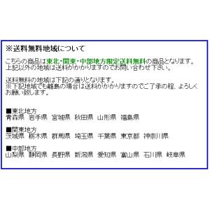 【東北・関東・中部地方・近畿地方限定送料無料】...の詳細画像1