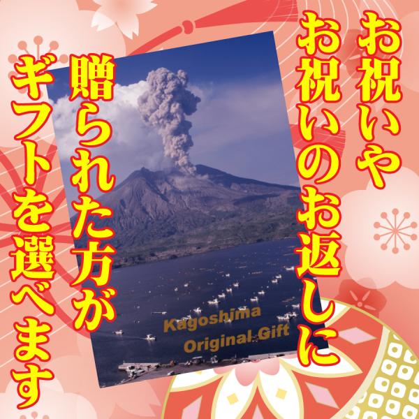 鹿児島オリジナルギフト ギフト 鹿児島ギフト 贈答 プレゼント 贈り物 お歳暮 お中元 鹿児島特産品