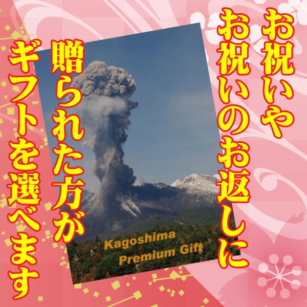 鹿児島プレミアムギフト ギフト 鹿児島ギフト 贈答 プレゼント 贈り物 お歳暮 お中元 鹿児島特産品