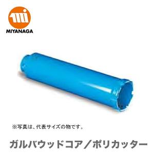 ミヤナガ（MIYANAGA） 数量限定 ポリクリック LシャンクSDS/PCSKLR JAN