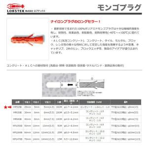数量限定 〈ロブテックス〉モンゴプラグ(ボトル...の詳細画像1