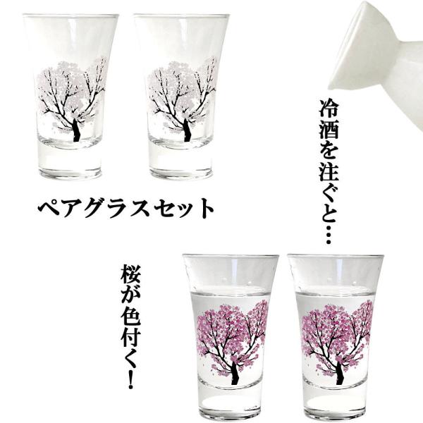 冷たいものを注ぐと桜が色付く 冷感 ペアグラスセット 天開 桜 温度変化 酒器 丸モ高木陶器 正規品...