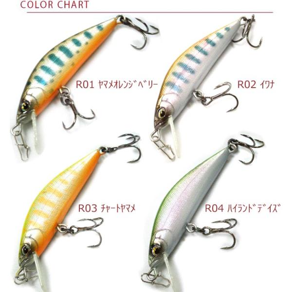 レイチューン デュプレックス シンキング DP45RR 45mm