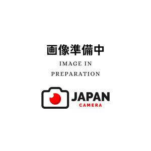 GoPro Hero11 Black クリエーターエディション CHDFB-111-JP ゴープロ アクションカメラ｜japancamera