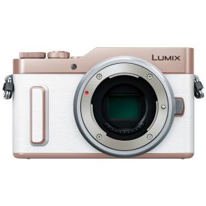 Panasonic パナソニック ミラーレス一眼カメラ ルミックス