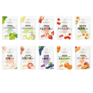 全農 ニッポンエールグミ 売れ筋 グミ 10種...の詳細画像1