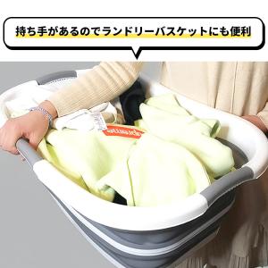 【タオルおまけ付※なくなり次第終了】ペット バ...の詳細画像4