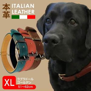 犬用首輪 ハーネス リード 色 ブラウン系 犬用品 ペット用品 生き物 通販 Yahoo ショッピング