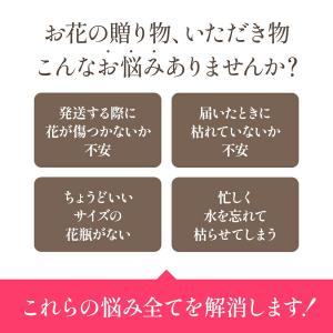ソープフラワー ギフト スティックケーキ セッ...の詳細画像2