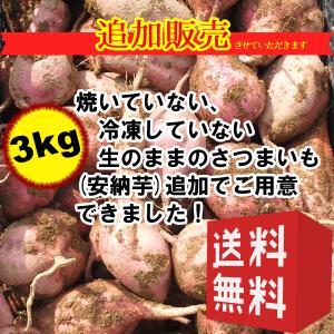 再販決定　送料無料　安納芋　生芋　3kg　Sサイズ　小ぶりな一口サイズがおやつにピッタリ　種子島甘蜜芋みつ姫　生のさつまいも　追加でご用意できました