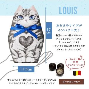 お菓子 プチギフト チョコ ばらまき チョコレ...の詳細画像1