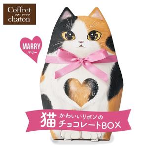 チョコレート コフレシャトン 子猫 ミニクリスピーチョコミックス