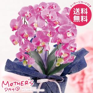 爆買 母の日 ギフト 2026 花 プレゼント アートフラワー 造花 ミニ 胡蝶蘭3本立ち ダークラベンダー 鉢花 おしゃれ かわいい 人気