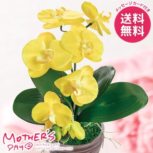 母の日 ギフト 2026 花 プレゼント アートフラワー 造花 胡蝶蘭 カラーズ イエロー 鉢花 花...