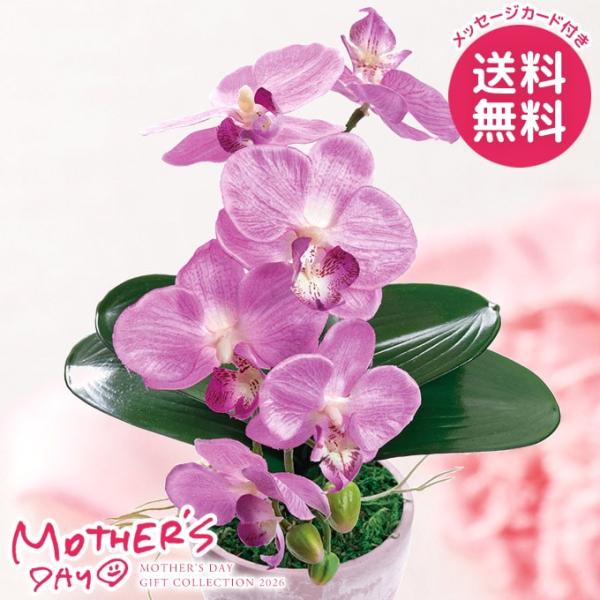 母の日 ギフト 2026 花 プレゼント アートフラワー 造花 胡蝶蘭 カラーズ フレッシュピンク ...