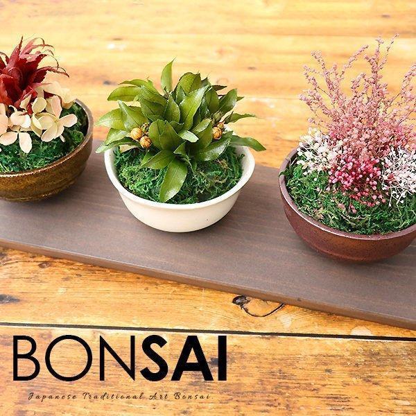 誕生日 プレゼント 盆栽 3点セット 枯れない プリザ 母の日 ギフト 専用トレイ付き もみじ イン...