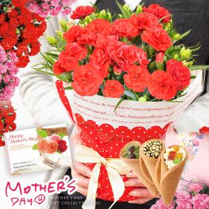 母の日 ギフト カーネーション 2026 花とスイーツ 花 セット 鉢植え 4号鉢 プレゼント お菓子 スイーツ 花束のお菓子 花鉢 鉢花 生花 50代 60代 70代 80代