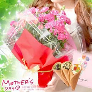 母の日 ギフト 2026 カーネーション 花とスイーツ 花 セット 鉢植え 5号鉢 プレゼント お菓子 スイーツ 花束のお菓子 花鉢 鉢花 生花 50代 60代 70代 80代