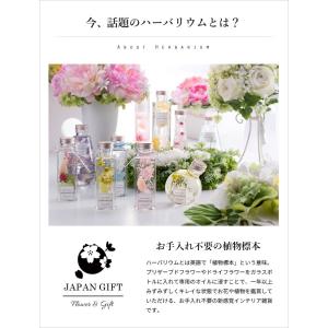 ハーバリウム ハニーテール (ブラック)&かす...の詳細画像2