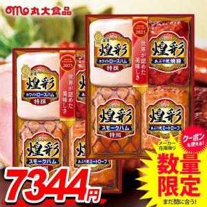 お中元 御中元 2024 ハム ギフト セット 贈り物 食品 グルメ 焼豚 丸大食品 丸大ハム 煌彩 Cセット 肉惣菜 肉料理 KK-504x2セット (7月1日以降順次発送)｜japangift