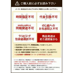 お中元 2026 鎌倉ハム 鎌倉ハム富岡商会 ...の詳細画像5