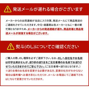 お中元 御中元 2026 ハム ギフト 残暑見...の詳細画像4