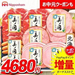 日本ハム（Nipponham） 2026年 お中元 贈答品 ハム ギフト 北海道