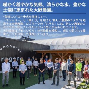 母の日 ジュース ギフト 2026 内祝い お...の詳細画像3